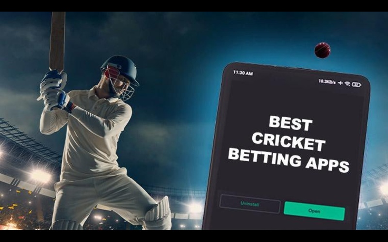 online cricket betting app body image